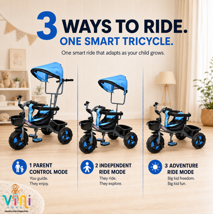 VINI TOYS Rocky DX Tricycle with Parent Handle & Canopy