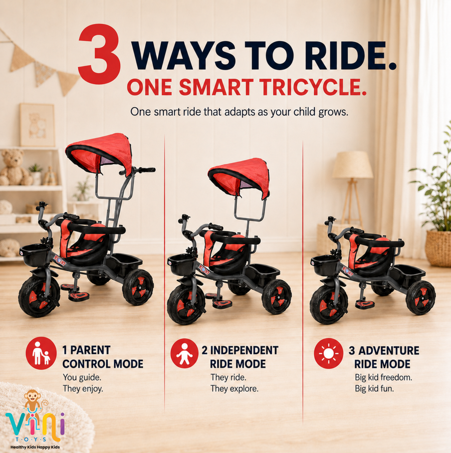 VINI TOYS Rocky DX Tricycle with Parent Handle & Canopy
