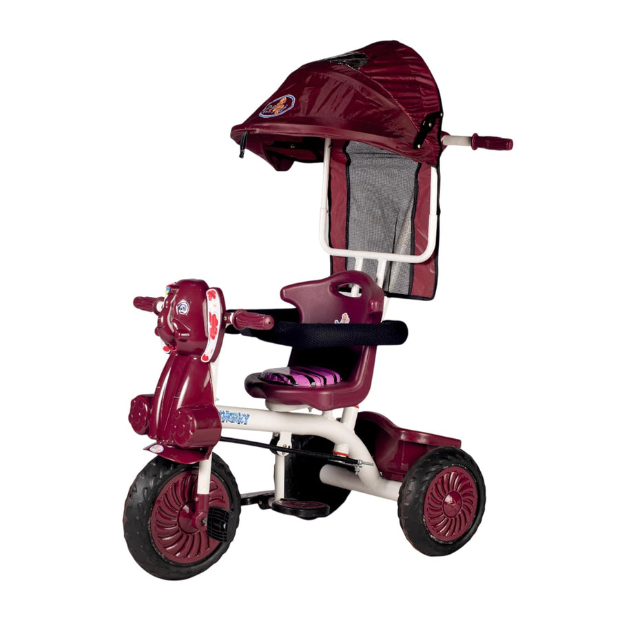 VINI TOYS Snorky Tricycle with Parent Handle & Canopy